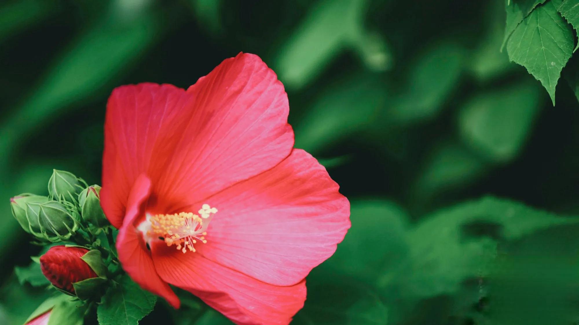 面对困难迎难而上的励志句子,人生当中最艰难的时候