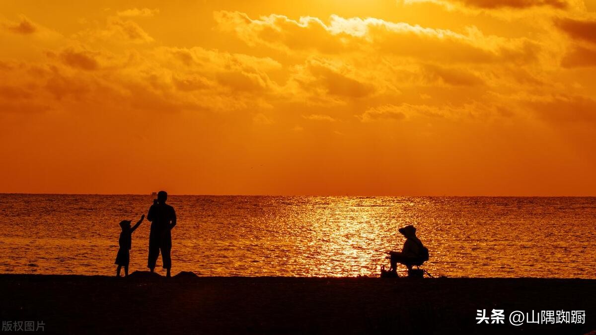 2008年全国高考满分作文合集,2008高考满分作文800字