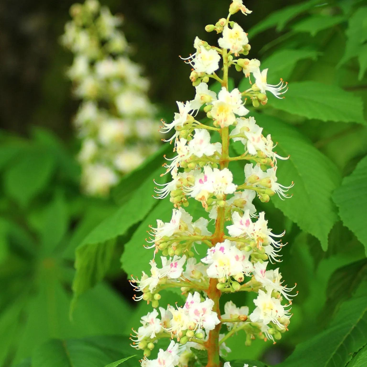 100种迷人的“数字花”,从零到一百万,真是太神奇了