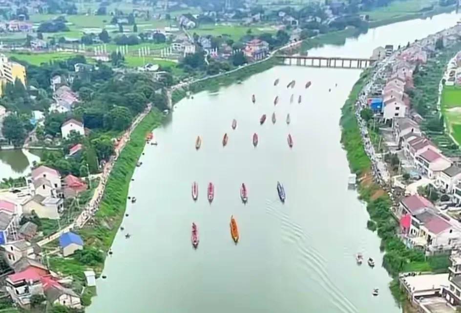 炸毛哥冯伟浚被求婚,炸毛哥冯伟浚走红图片