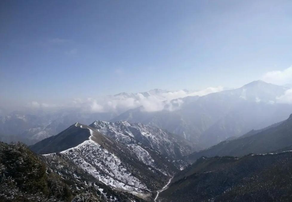 吉林男子野外捡鹿,吉林男子捡到小鹿