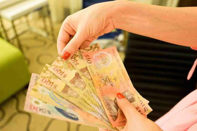 文莱是怎样一个国家,文莱是个什么样的国家