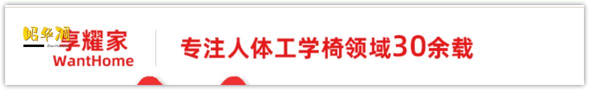 如何挑选一款人体工学椅,八千字长文深度解析