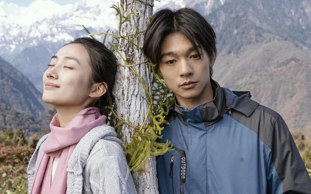 贺岁档电影分析，想看电影但没决定看哪部电影的你还不看过来