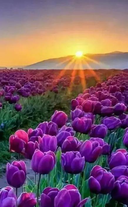 懂心理学的能看透别人的心理吗,心理学真正高情商和大格局