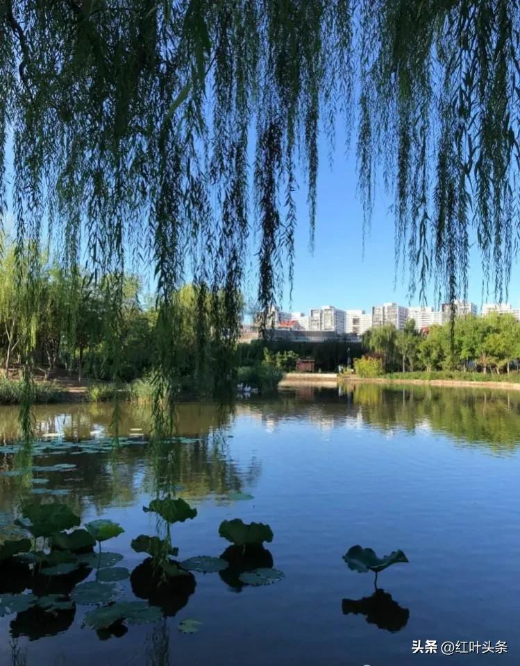 天津三绝诗,赞美天津市的七绝诗