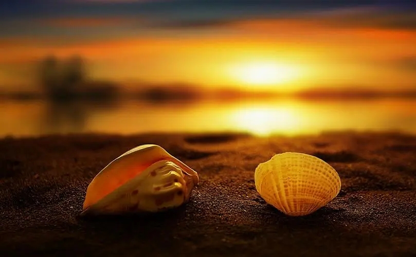 聪明但是用错了地方,别把聪明太当回事