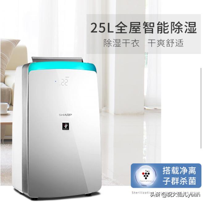 既能净化空气又能加湿,既可以净化空气又可以除湿