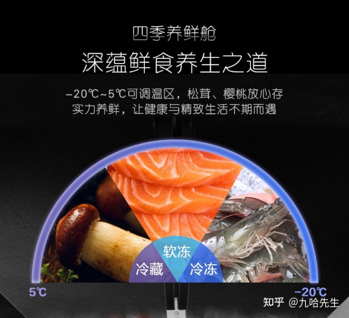 容声原鲜系列冰箱,容声原鲜冰箱公认好的一款