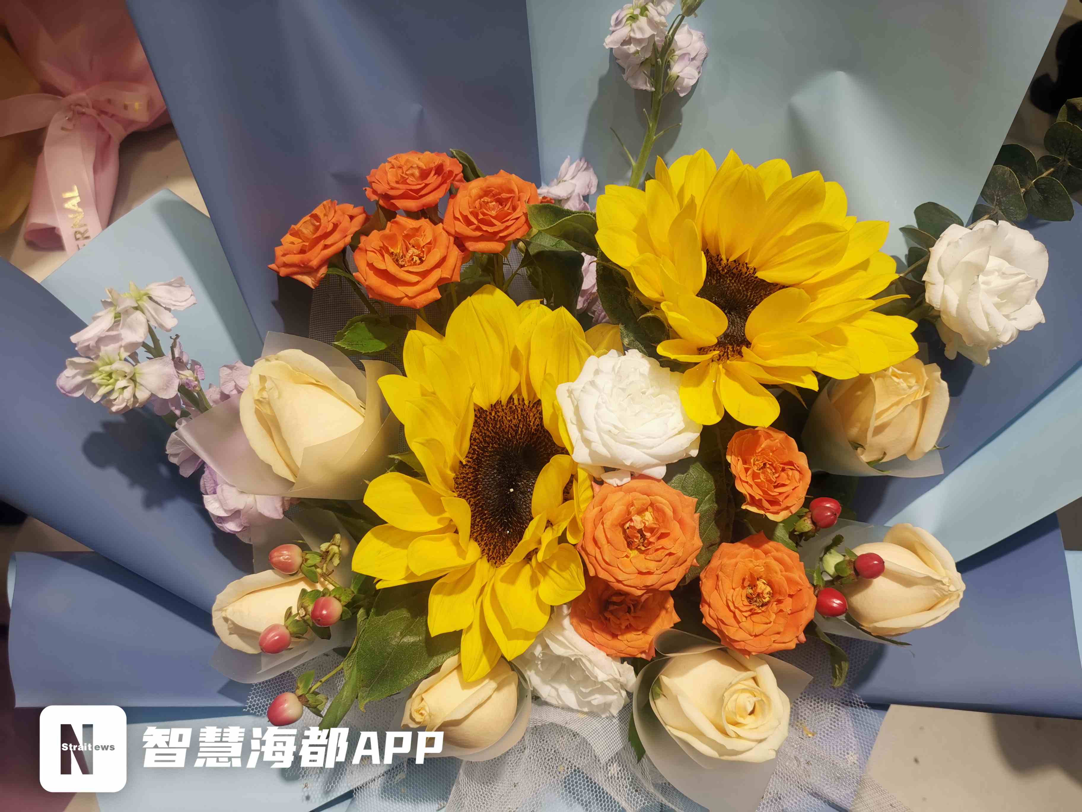 一举夺“葵”！高考季，福州花市向日葵热卖