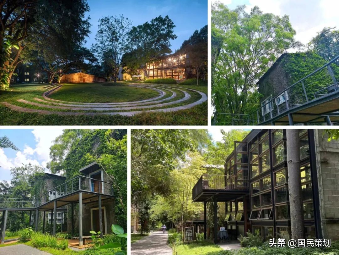 泰国清迈有什么好项目,泰国清迈旅行项目