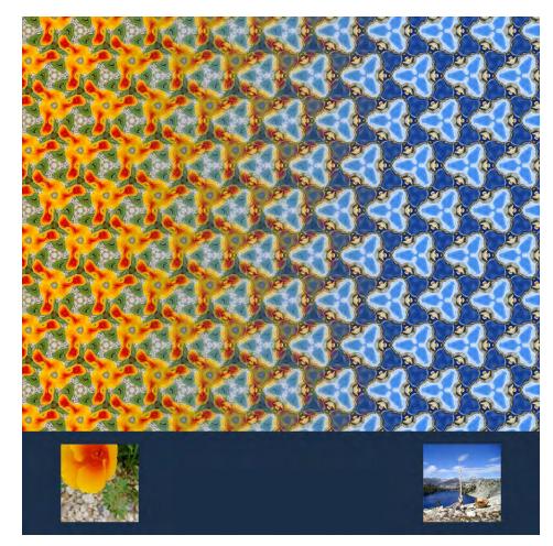 数学家的演讲,数学家谈函数与方程