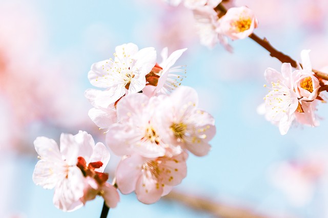 深处诡异梦境,想念孩子的父亲能不能回家?二十八