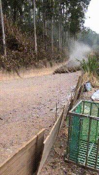 最美丈母娘火了女婿表示也很无奈,最美丈母娘火了女婿表示很无奈