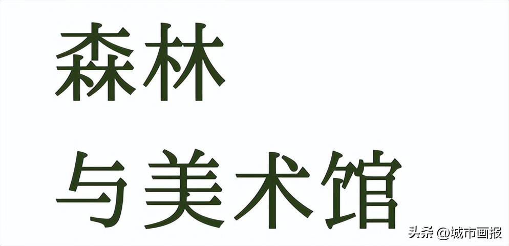 新年第一天，我去打卡一间森林里的美术馆
