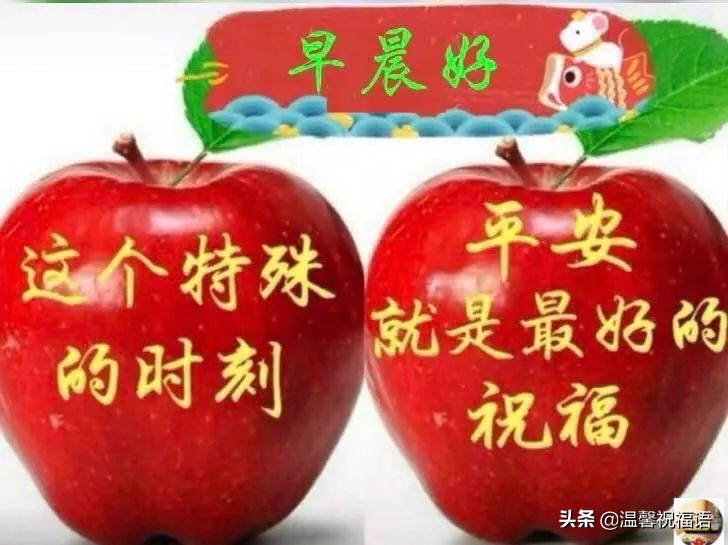 清晨最美好的祝福话语图片,早上好最美温馨祝福语图片大全