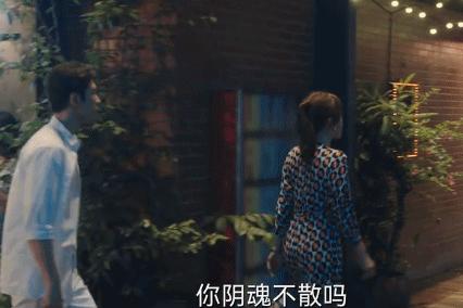 陈创刘敏涛国剧,刘敏涛和杨幂一同参加的综艺