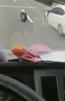 生物老师是女的,生物老师是个女的