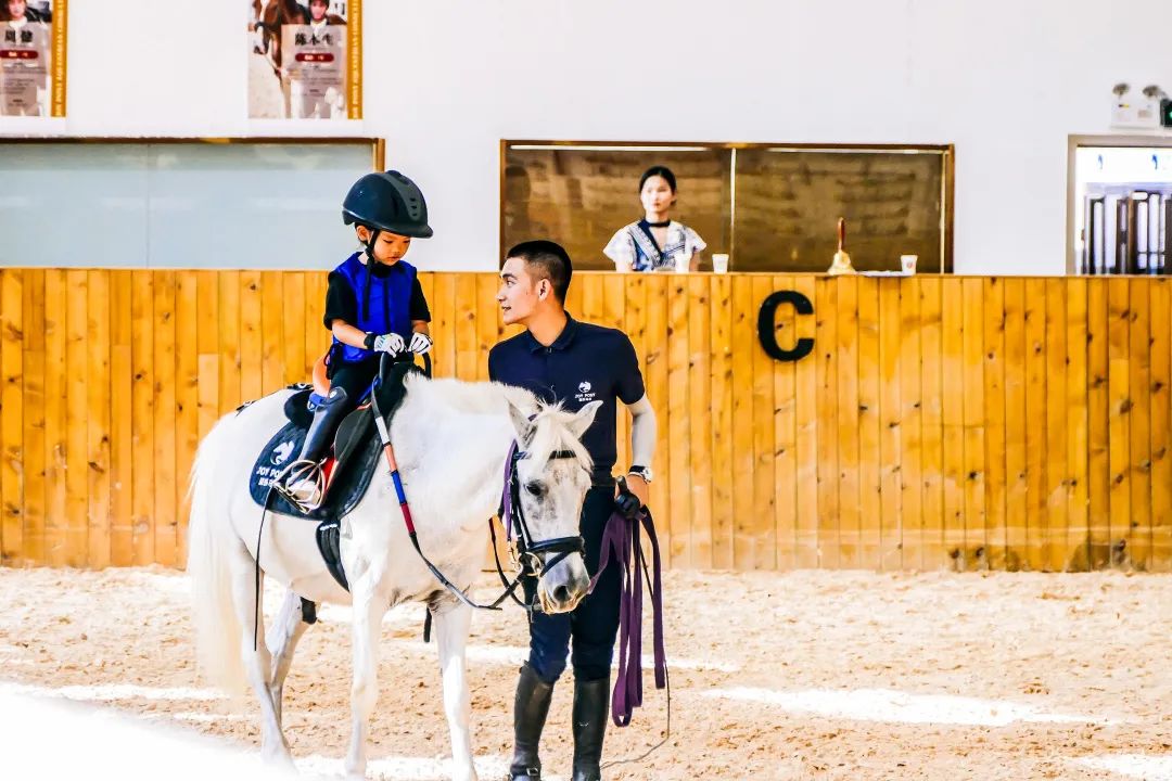 桂城南海体育馆篮球赛事,南海体育馆篮球馆