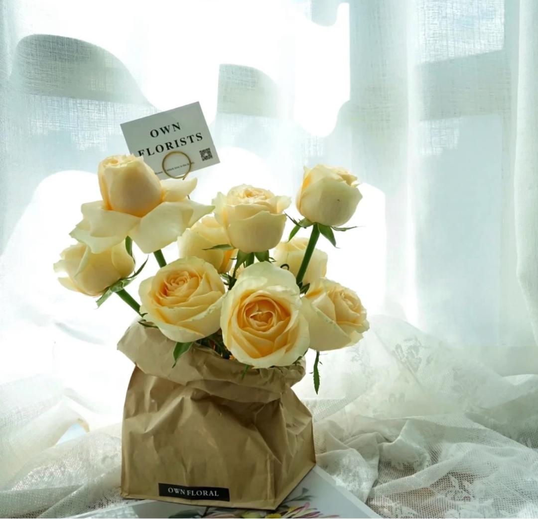 新趋势家居,新趋势家居生活产品