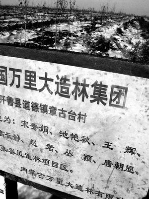 “万里大造林”的*相贵陈**：开悍马花182万买手机号，08年成阶下囚
