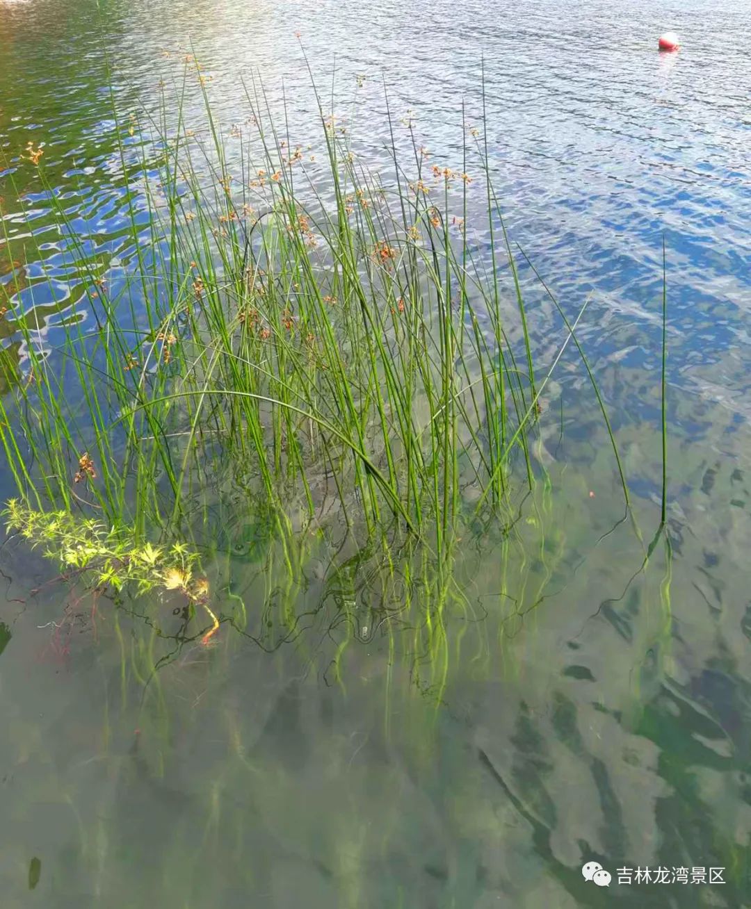 暑假避暑旅游去哪好,暑假避暑推荐两个月