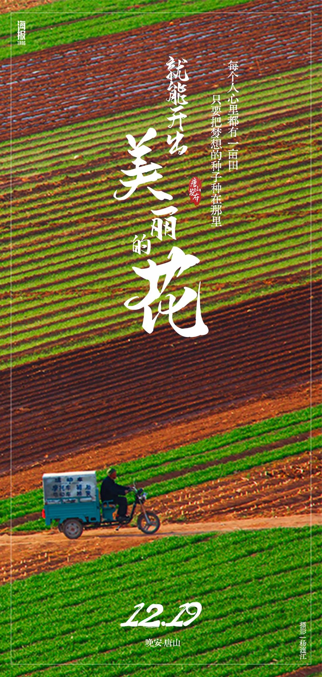 小布说丨骗提住房公积金！唐山多人被曝光！西安接诊多例出血热患者，专家提醒→