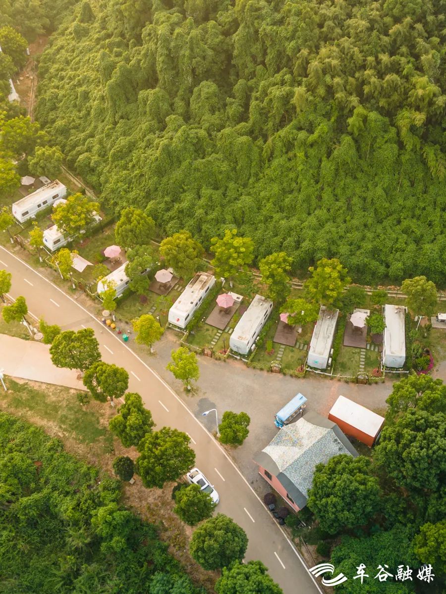 散步、慢跑、骑行……快来打卡车谷这些“高颜值”绿道