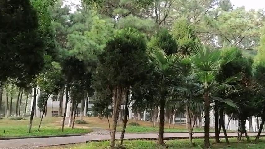 镇江高职校，苏南职教的翘楚！👍🙀