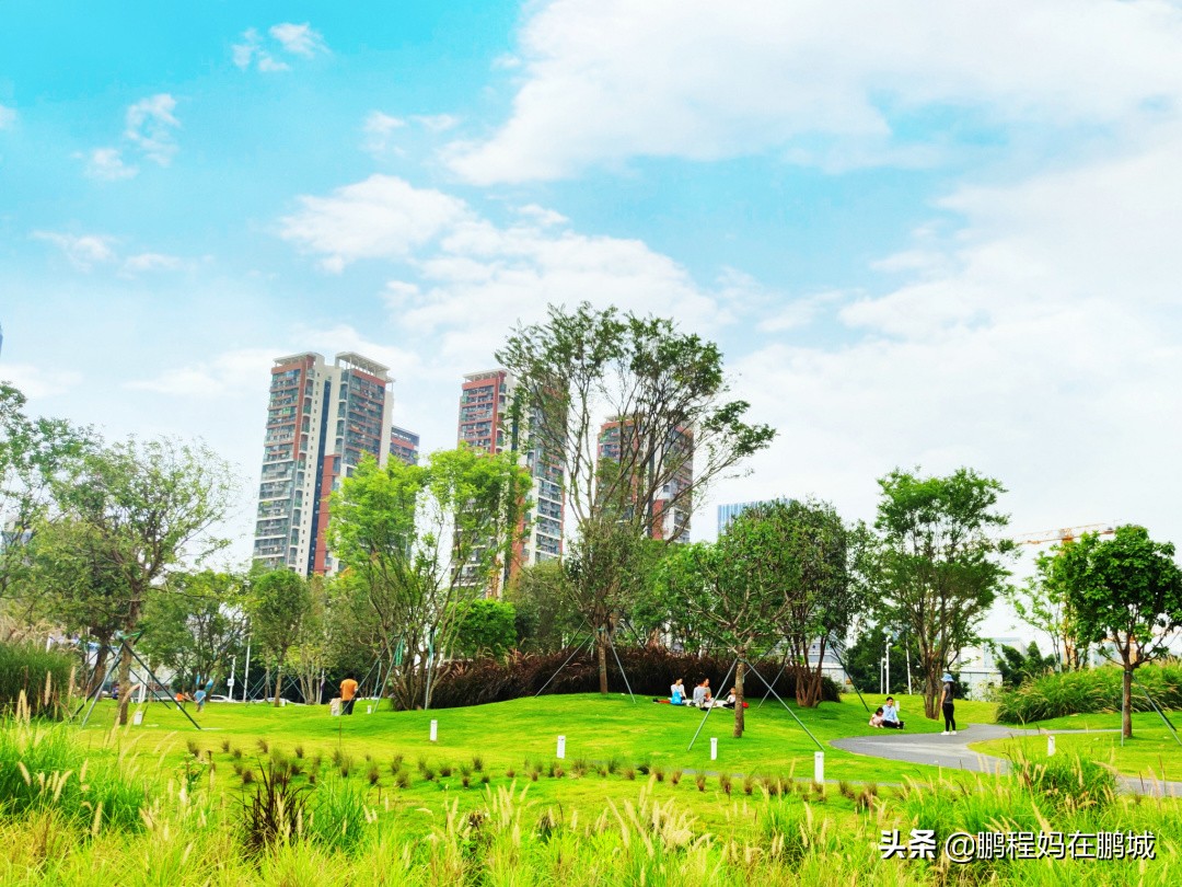 观澜最近翻新过的公园,龙华观澜中心公园