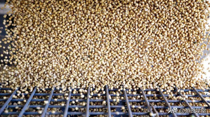 巴西大豆出口贸易现状及对策,巴西大豆对华出口