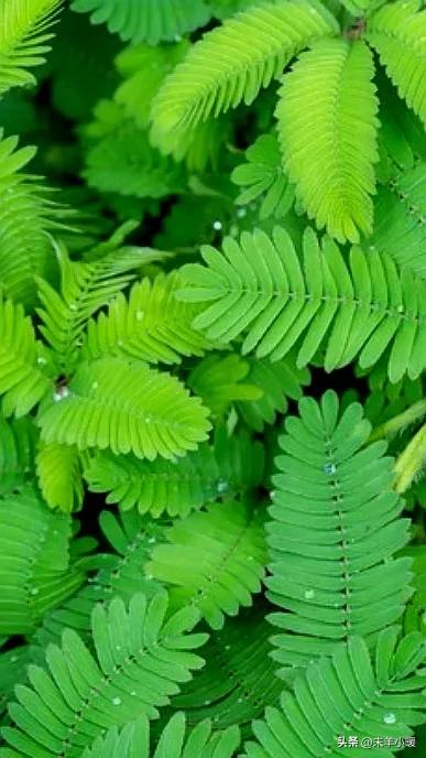 超清超美独一无二手机壁纸图片,养眼养心的壁纸