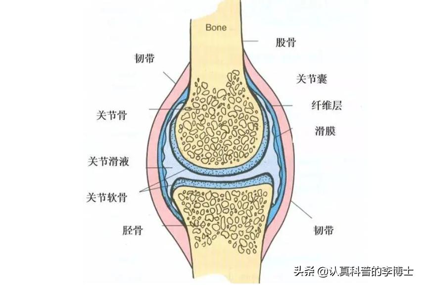 关节有积液需要抽吗,抽关节积液有什么危害
