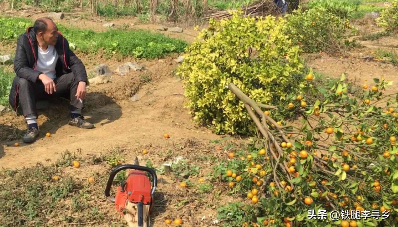 当代农民，勤劳致“穷”，有5条现实逻辑？