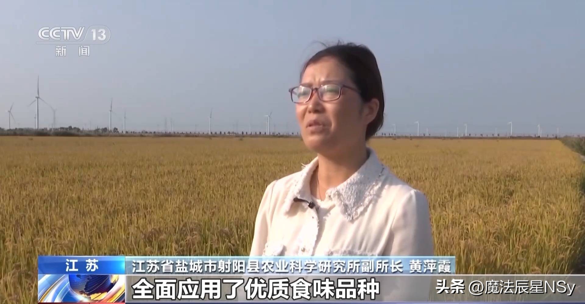 好粮大米,好粮好料出好酒