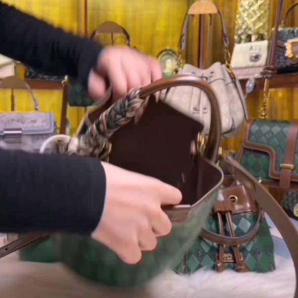 主播全程热情讲解,2022新款绿色小包包