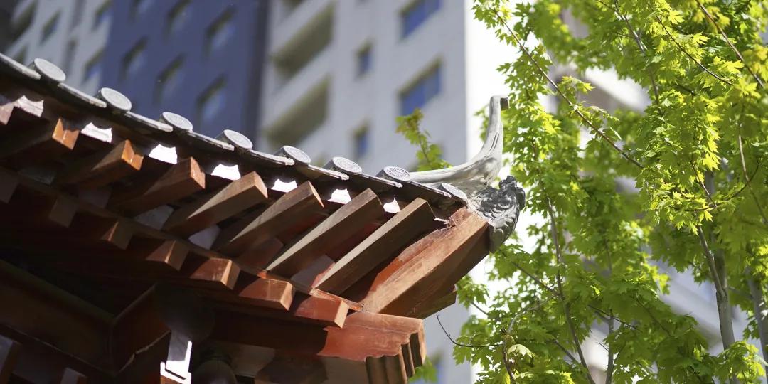 「园臻®作品」廊坊俪景嘉园“桃夭”主题景观之营造