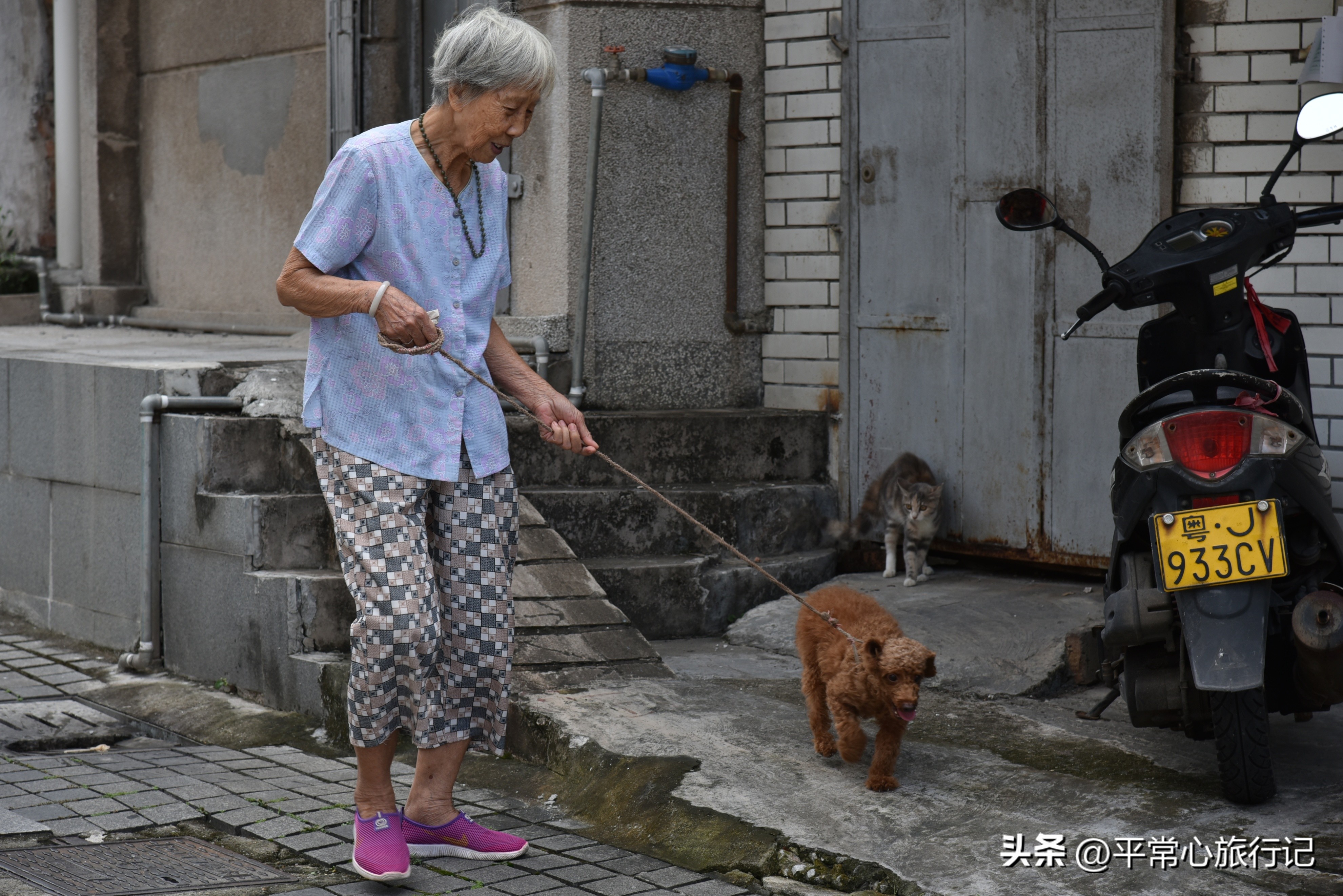 狂飙江门取景地打卡旧厂街,江门三十三墟街景点介绍