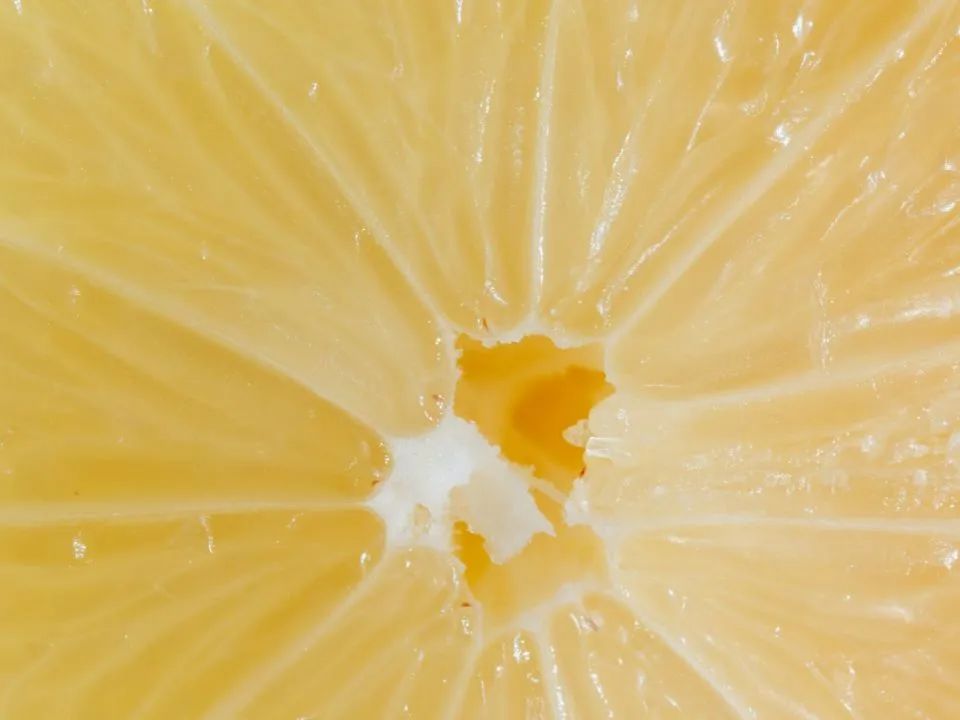 希望更多的人借由香气滋养身心灵，被植物精魂逐渐疗愈......