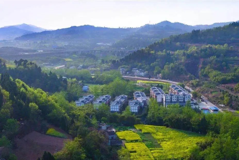 春暖花开运动好时节,春暖花开该开始运动了