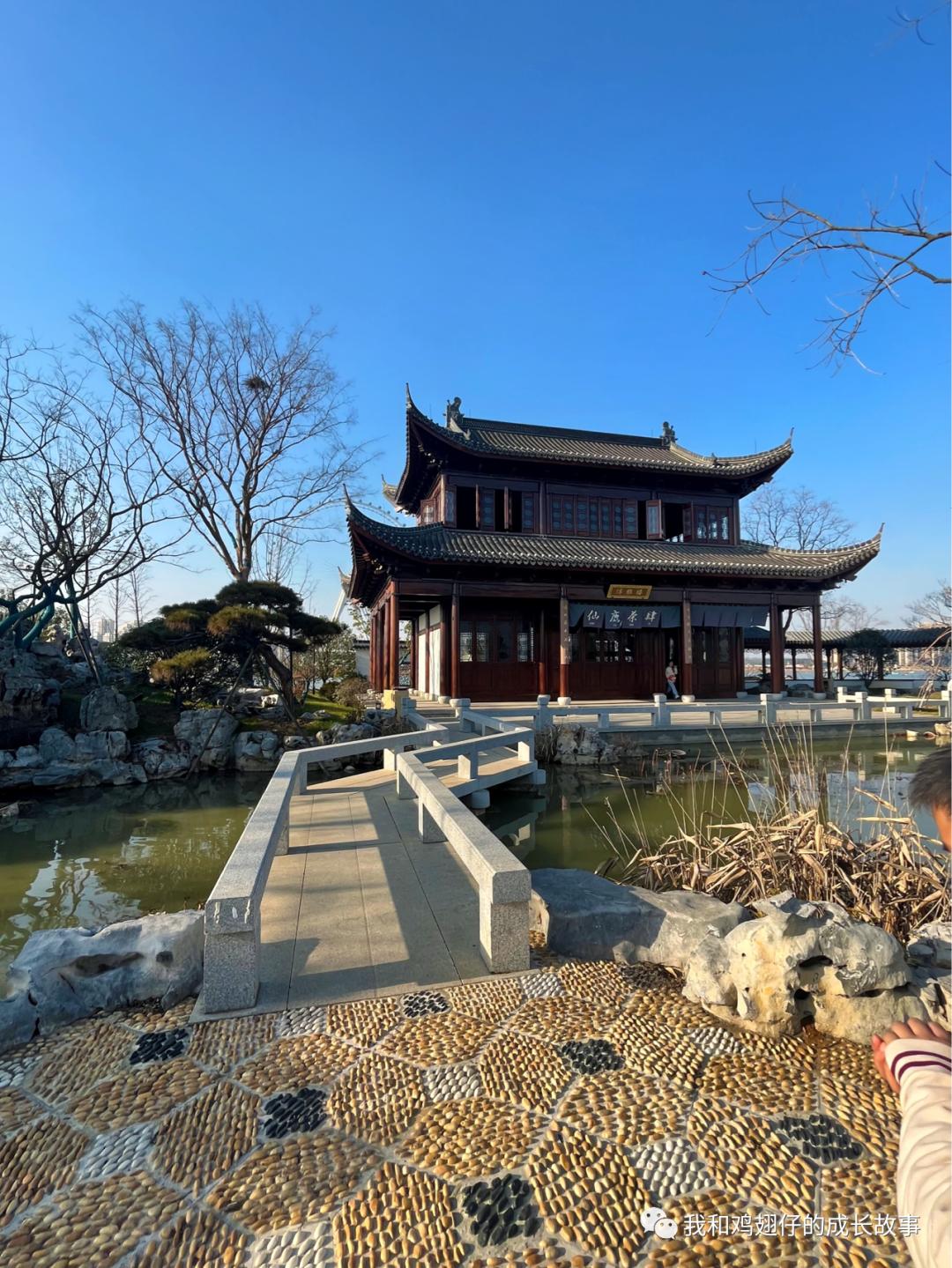 爱美丽推荐打卡第76|合肥必打卡|草坪+湖泊+游乐园+萌宠市集+花海