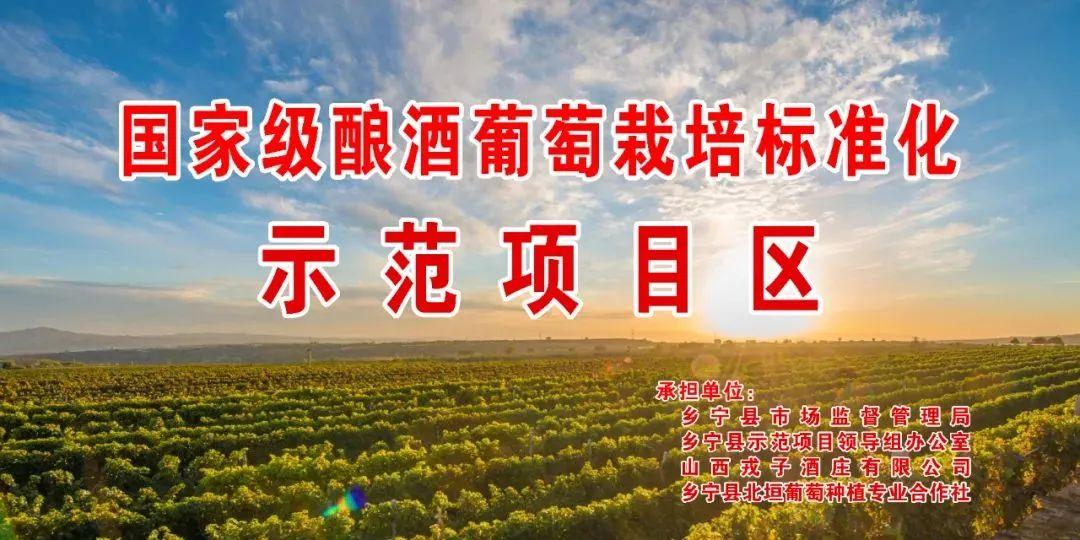 戎子酒庄一箱六瓶红酒,戎子酒庄倾力打造