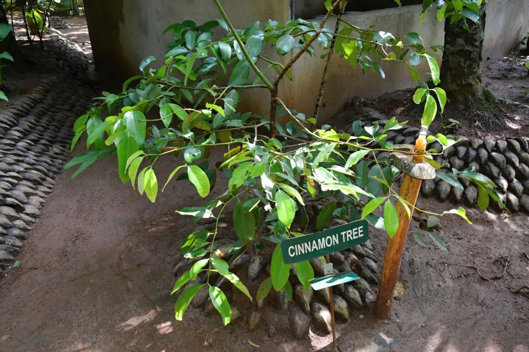 毕业季留下青春的足迹,毕业季开启一段最美青春回忆