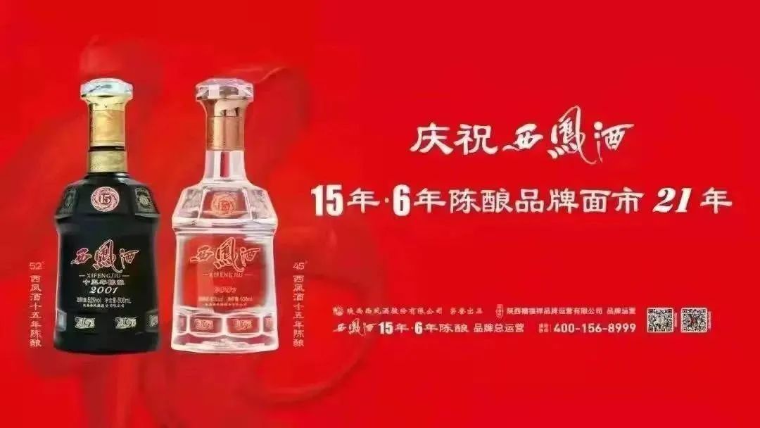 西北狼足协杯第4轮,陕西西北狼足球队冲甲