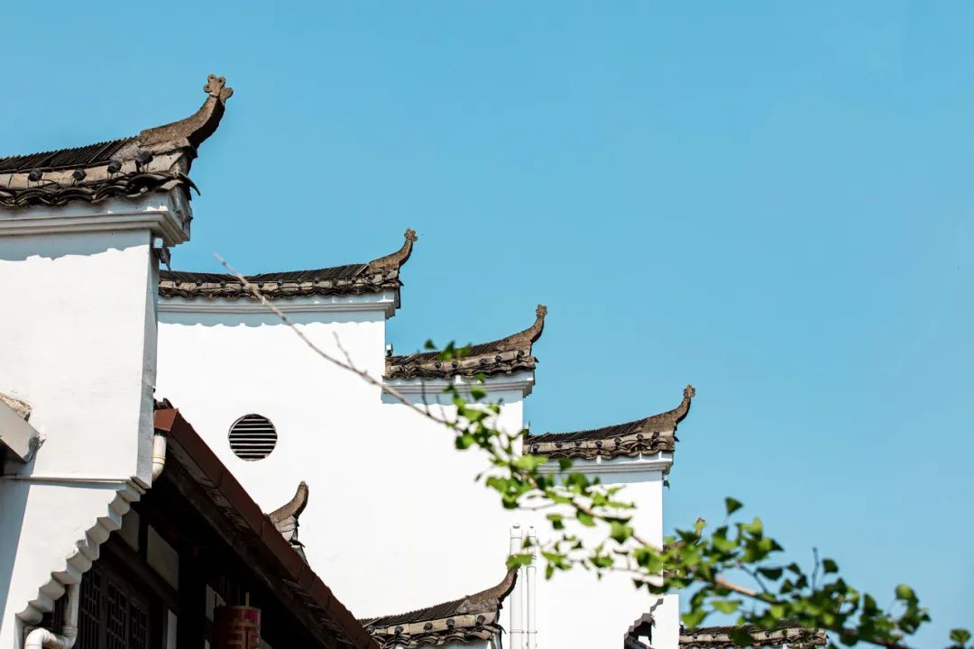 浙江十大公路自驾,浙江神仙居自驾游2-3天推荐