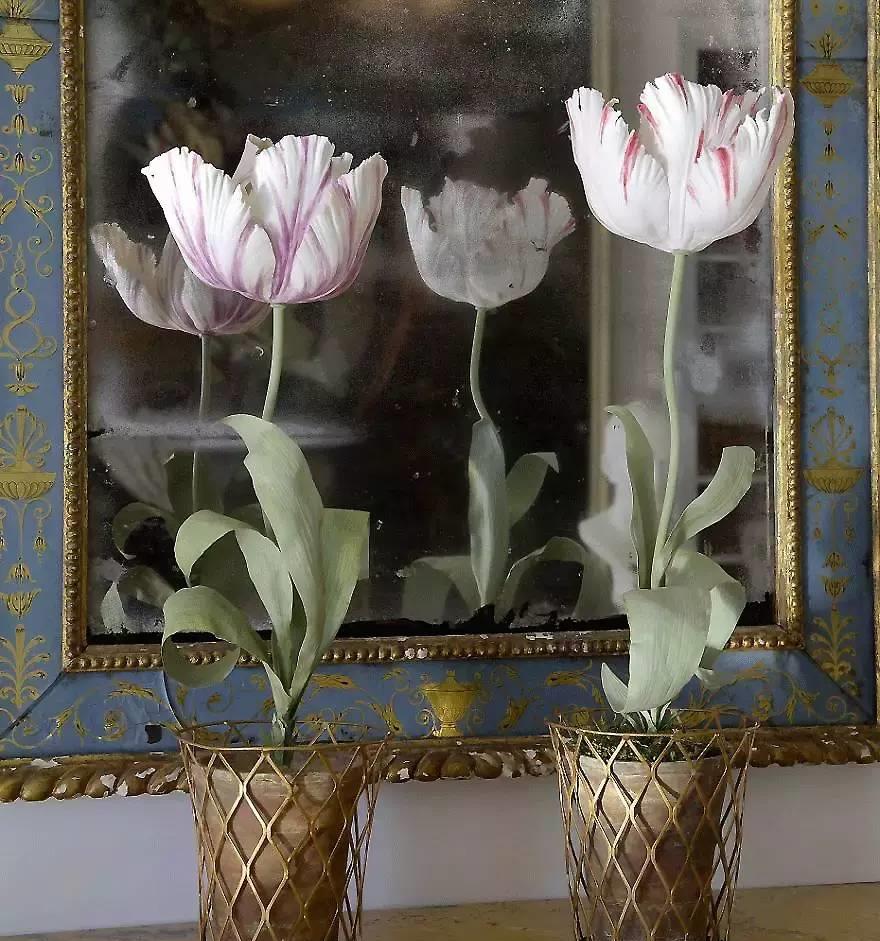 园丁的花园里开出了永生花,园丁永生花