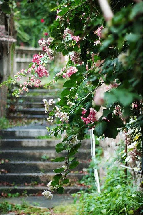 为什么高情商的人更受欢迎,为什么是高情商