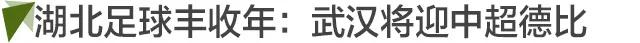 武汉三镇中甲夺冠历程,武汉三镇提前两轮冲超