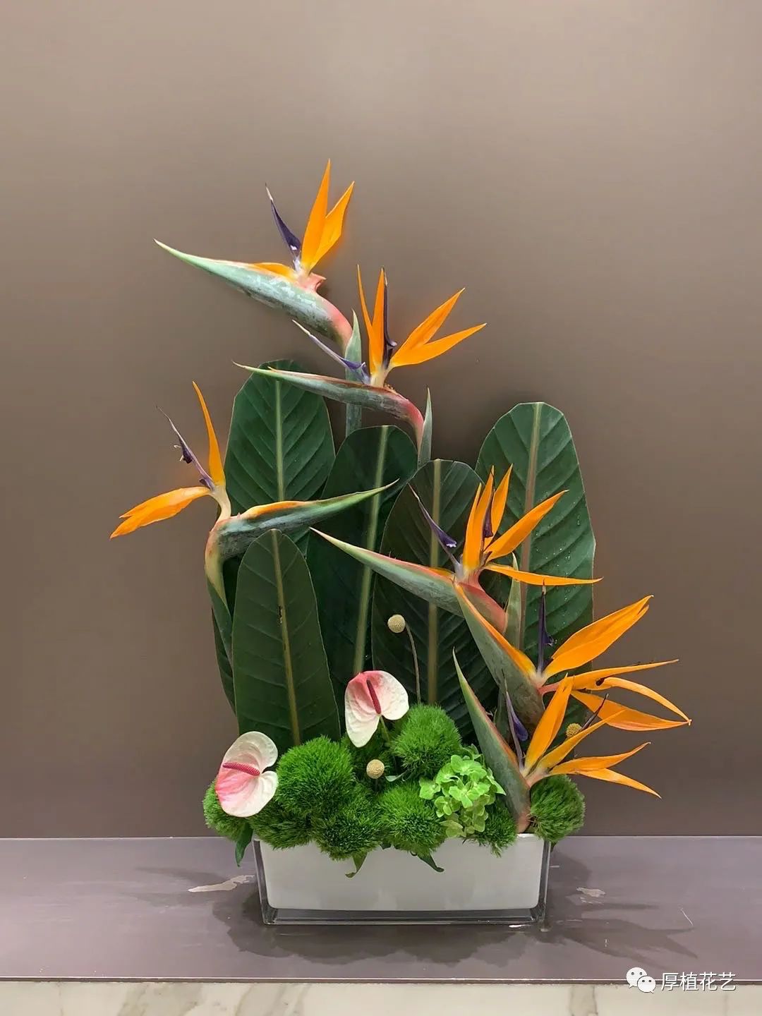 商务前台鲜花,前台花选择