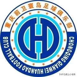 前卫寰岛队员名单,前卫寰岛主力阵容